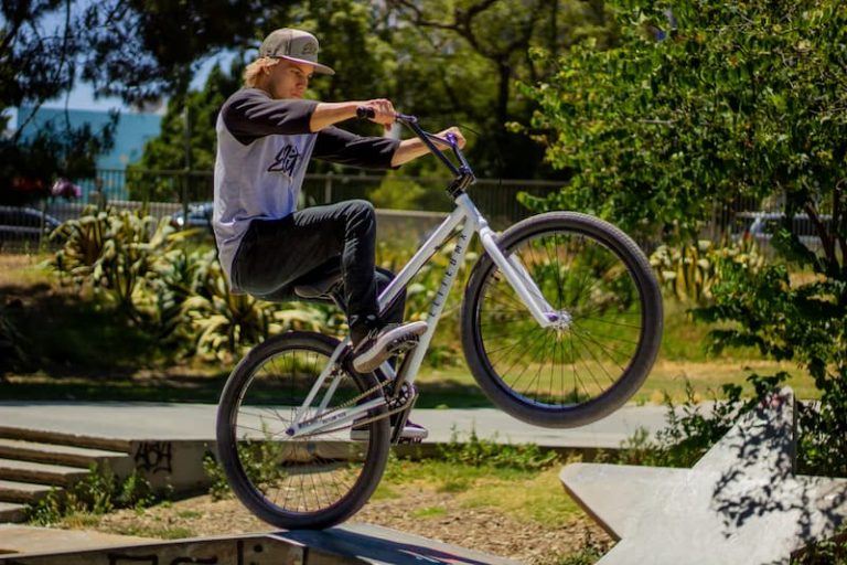 What is a BMX Bike? All You Want to Know - Bike Your Best